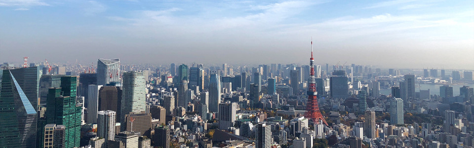 【川越市】相続税対策で不動産を活用するメリット・デメリットと活用事例